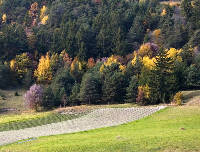 Landscape, Montana-Crans Switzerland 1.jpg